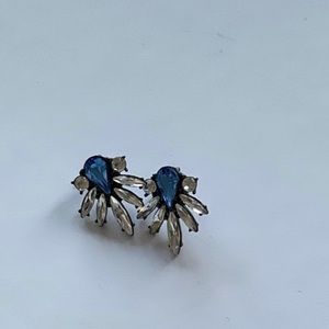 Earrings Blue Silver Stone